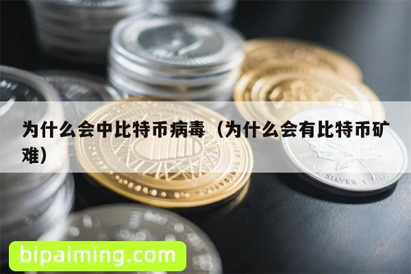 为什么会中比特币病毒（为什么会有比特币矿难）