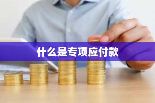 什么是专项应付款