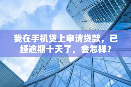 我在手机贷上申请贷款，已经逾期十天了，会怎样？