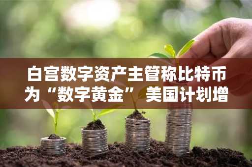 白宫数字资产主管称比特币为“数字黄金” 美国计划增加比特币储备