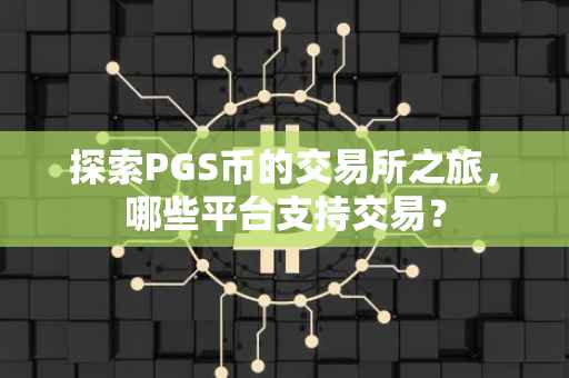 探索PGS币的交易所之旅，哪些平台支持交易？