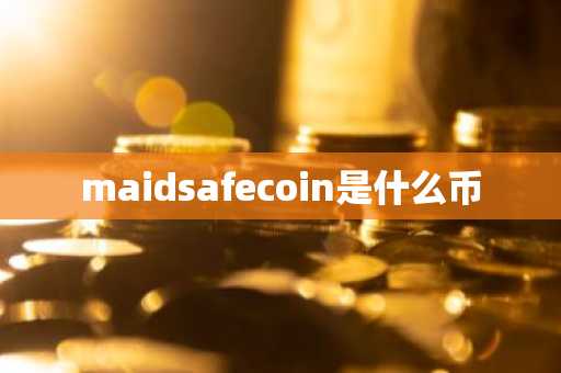 maidsafecoin是什么币