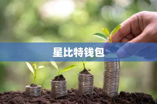 星比特钱包