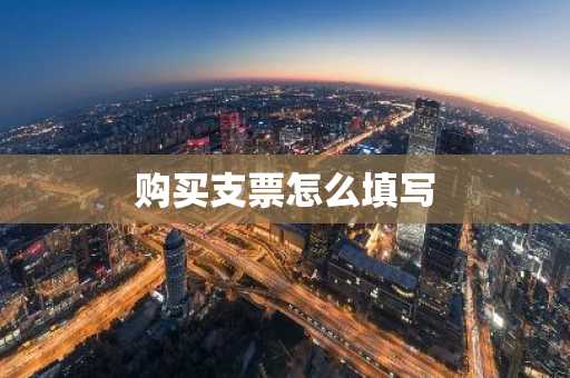 购买支票怎么填写