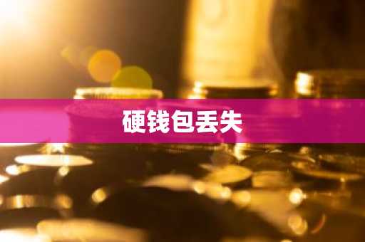 硬钱包丢失