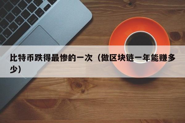 比特币跌得最惨的一次（做区块链一年能赚多少）