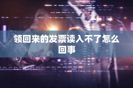 领回来的发票读入不了怎么回事