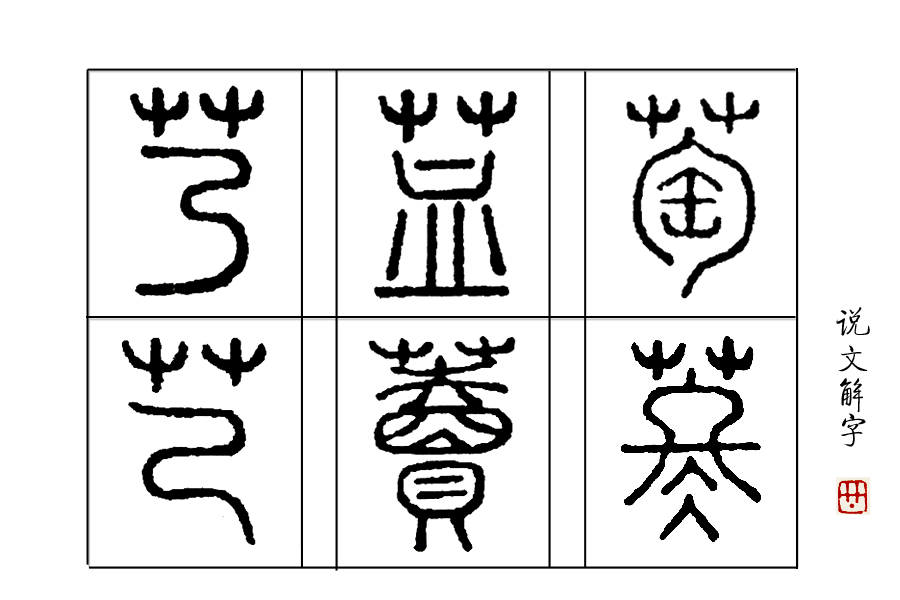 葡萄是东汉还是西汉引进的（葡萄种植于东汉还是西汉）