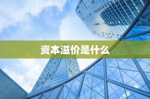 资本溢价是什么