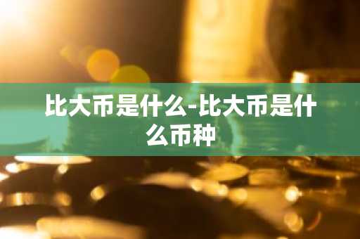 比大币是什么-比大币是什么币种