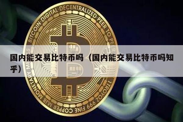 国内能交易比特币吗（国内能交易比特币吗知乎）