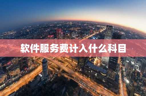 软件服务费计入什么科目
