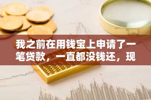 我之前在用钱宝上申请了一笔贷款，一直都没钱还，现在已经逾期了5个月了，会有这样的后果？