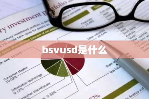 bsvusd是什么