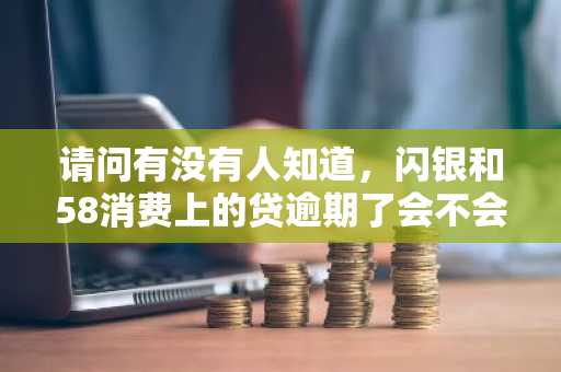 请问有没有人知道，闪银和58消费上的贷逾期了会不会上征信啊？