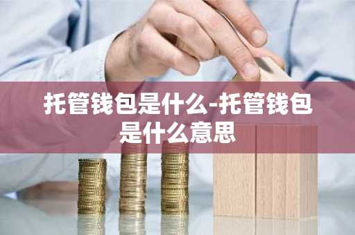 托管钱包是什么-托管钱包是什么意思
