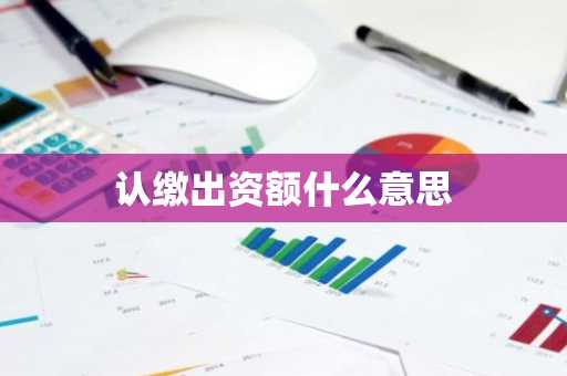认缴出资额什么意思