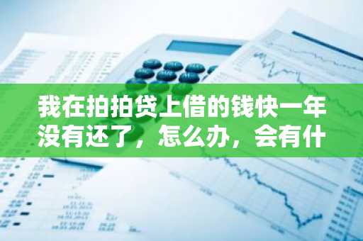 我在拍拍贷上借的钱快一年没有还了，怎么办，会有什么后果？