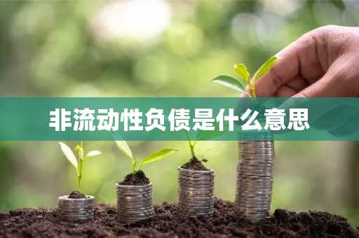 非流动性负债是什么意思