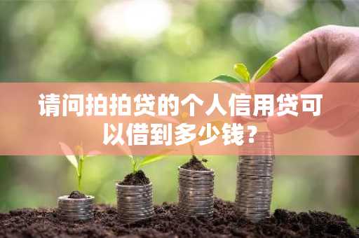 请问拍拍贷的个人信用贷可以借到多少钱？