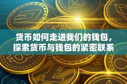 货币如何走进我们的钱包，探索货币与钱包的紧密联系