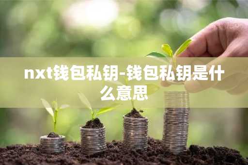 nxt钱包私钥-钱包私钥是什么意思