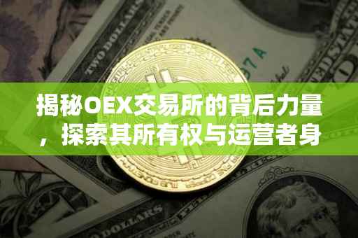 揭秘OEX交易所的背后力量，探索其所有权与运营者身份