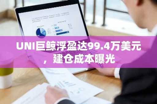UNI巨鲸浮盈达99.4万美元，建仓成本曝光