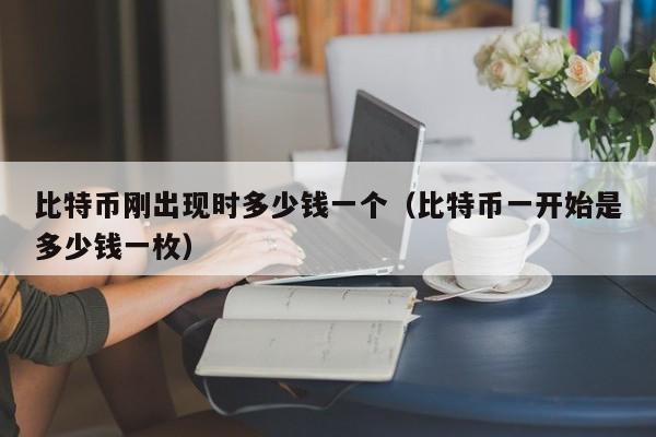 比特币刚出现时多少钱一个（比特币一开始是多少钱一枚）