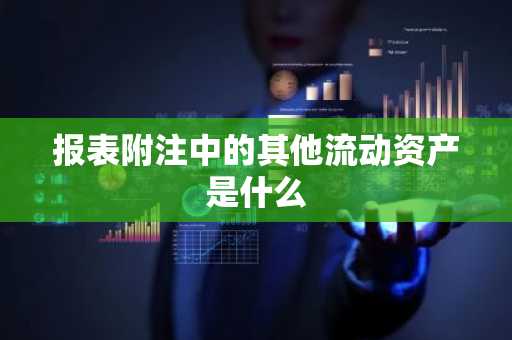 报表附注中的其他流动资产是什么