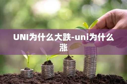 UNI为什么大跌-uni为什么涨