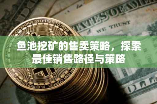 鱼池挖矿的售卖策略，探索最佳销售路径与策略
