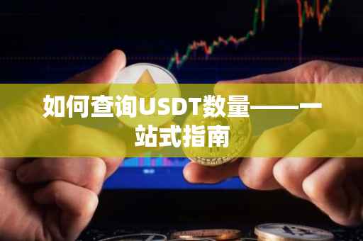 如何查询USDT数量——一站式指南