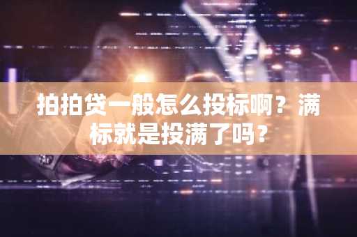 拍拍贷一般怎么投标啊？满标就是投满了吗？