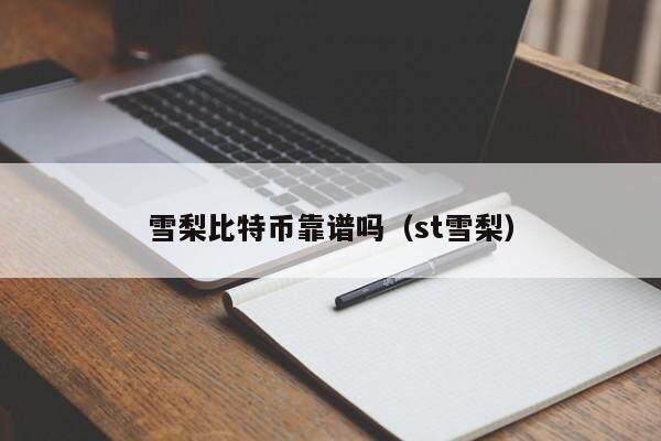 雪梨比特币靠谱吗（st雪梨）