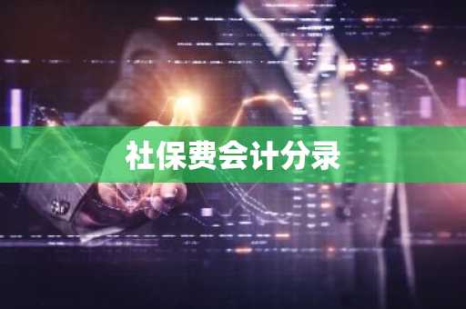 社保费会计分录
