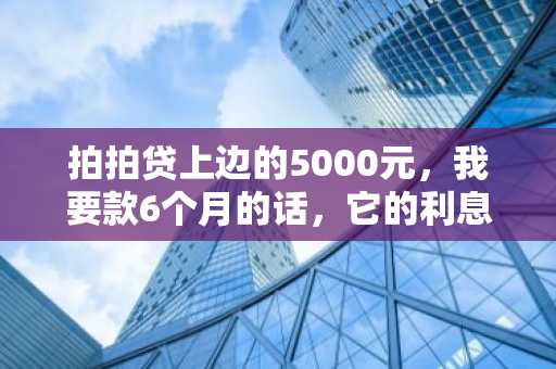 拍拍贷上边的5000元，我要款6个月的话，它的利息是多少啊？