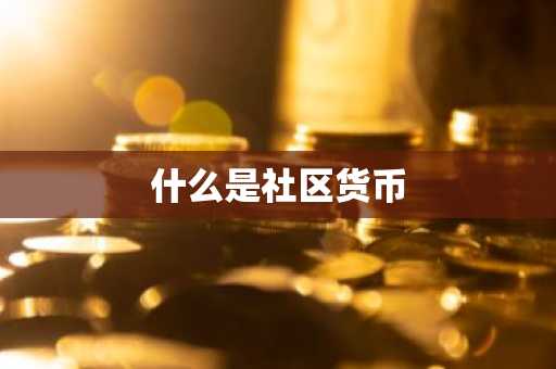 什么是社区货币