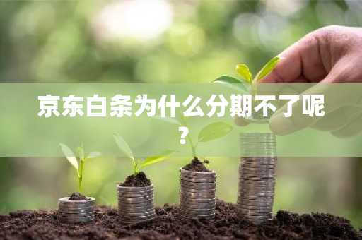 京东白条为什么分期不了呢？