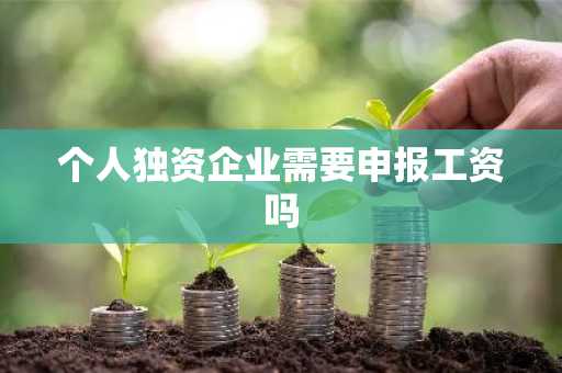 个人独资企业需要申报工资吗
