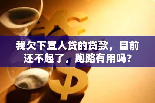 我欠下宜人贷的贷款，目前还不起了，跑路有用吗？