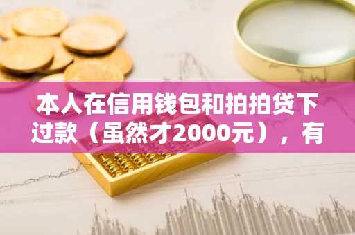 本人在信用钱包和拍拍贷下过款（虽然才2000元），有和他们一样容易过得口子吗？