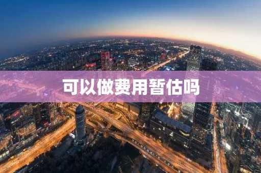可以做费用暂估吗