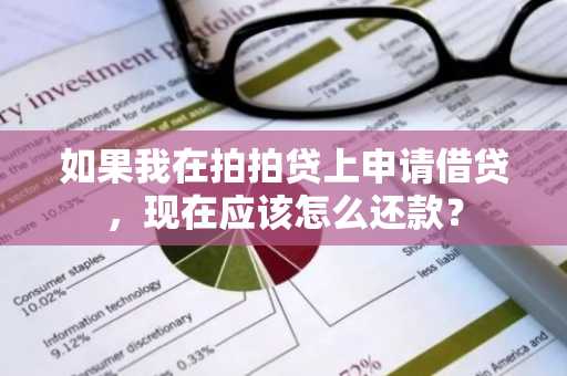如果我在拍拍贷上申请借贷，现在应该怎么还款？