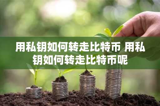 用私钥如何转走比特币 用私钥如何转走比特币呢
