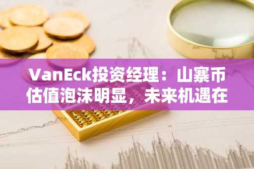 VanEck投资经理：山寨币估值泡沫明显，未来机遇在代币化股权