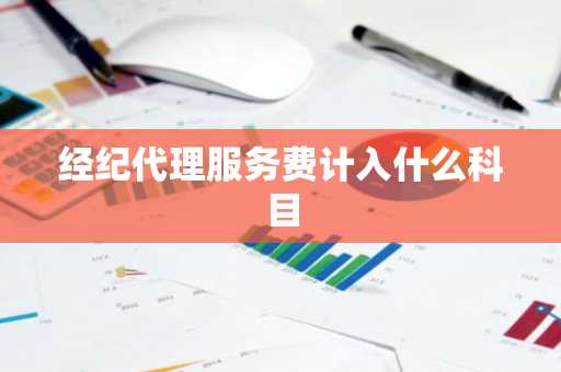 经纪代理服务费计入什么科目