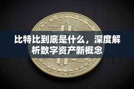 比特比到底是什么，深度解析数字资产新概念