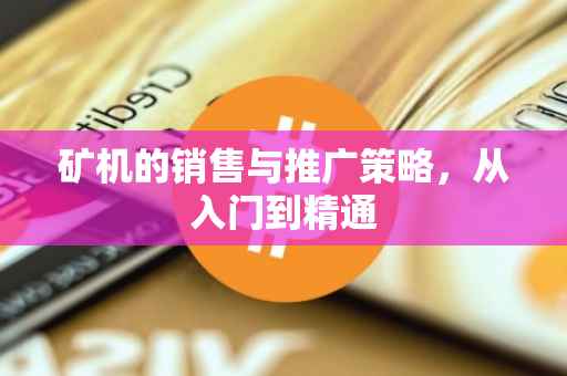 矿机的销售与推广策略，从入门到精通
