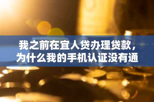 我之前在宜人贷办理贷款，为什么我的手机认证没有通过审核？是什么原因造成的？求告知。
